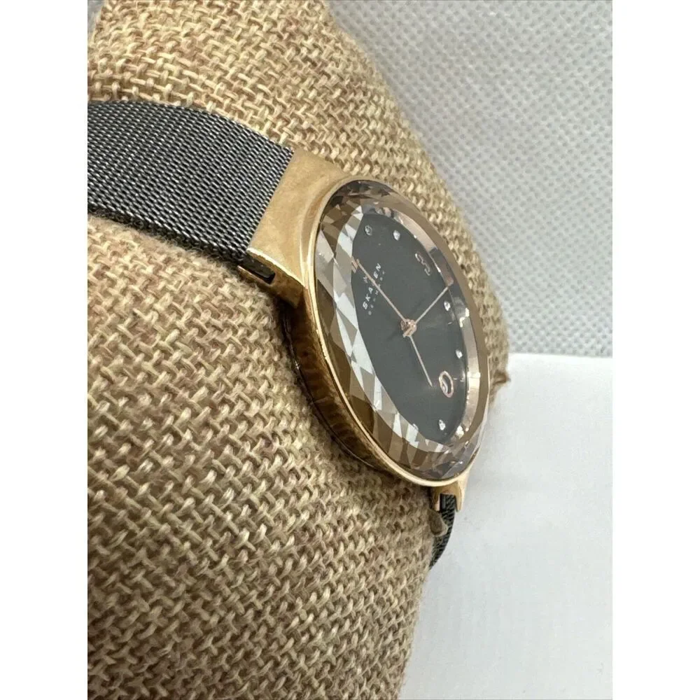Skagen SKW2120 Women's Gray Stainless Steel Mesh Analog Dial Quartz Watch JNA907